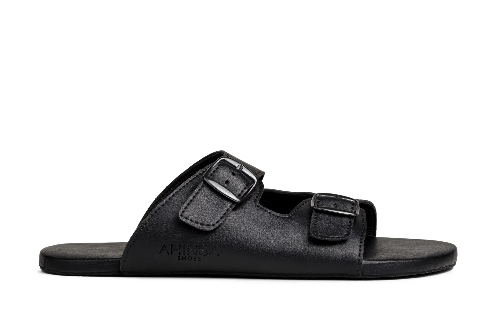 Ahinsa Slides
